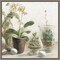 Greenhouse Orchids on Shiplap III by Danhui Nai 16-in. W x 16-in. H. Canvas Wall Art Print Framed in Grey